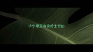 济宁哪里有卖哈士奇的