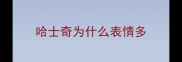 哈士奇为什么表情多