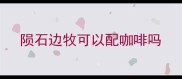 陨石边牧可以配咖啡吗