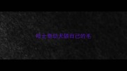 哈士奇幼犬舔自己的毛