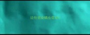 边牧感染螨虫症状