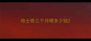 哈士奇三个月喂多少钱