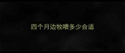四个月边牧喂多少合适