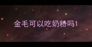 金毛可以吃奶粉吗