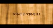 拉布拉多大便有血