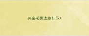 买金毛要注意什么