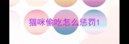 猫咪偷吃怎么惩罚