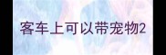 客车上可以带宠物