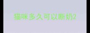 猫咪多久可以断奶