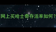 全网最全避坑指南网上买哈士奇存活率如何附选狗避雷清单