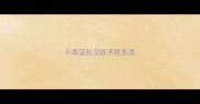 小狗又拉又吐不吃东西
