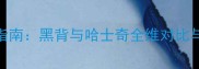 家庭养犬指南黑背与哈士奇全维对比与饲养建议
