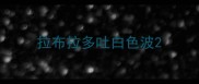 拉布拉多吐白色波