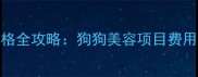 宠物美容价格全攻略狗狗美容项目费用与避坑指南