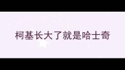 柯基长大了就是哈士奇