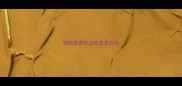 狗狗感冒可以吃感冒药吗