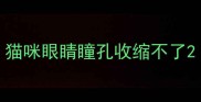 猫咪眼睛瞳孔收缩不了