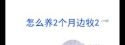 怎么养2个月边牧