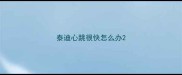 泰迪心跳很快怎么办