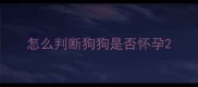 怎么判断狗狗是否怀孕