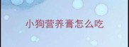 小狗营养膏怎么吃