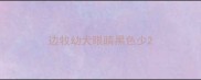 边牧幼犬眼睛黑色少