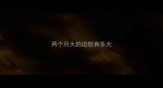 两个月大的边牧有多大