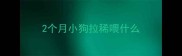 2个月小狗拉稀喂什么