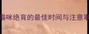 夏天猫咪绝育的最佳时间与注意事项全