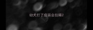 幼犬打了疫苗会拉稀