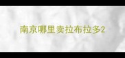 南京哪里卖拉布拉多