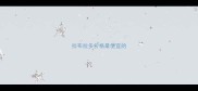 拉布拉多价格最便宜的