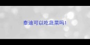 泰迪可以吃蔬菜吗