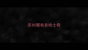 苏州哪有卖哈士奇
