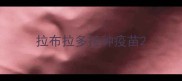拉布拉多接种疫苗