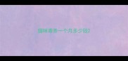 猫咪寄养一个月多少钱