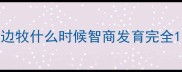 边牧什么时候智商发育完全