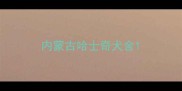 内蒙古哈士奇犬舍