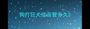 狗打狂犬疫苗管多久
