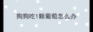 狗狗吃1颗葡萄怎么办