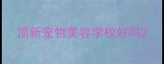 顶新宠物美容学校好吗