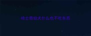 哈士奇幼犬什么也不吃东西
