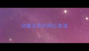 站着走路的网红泰迪