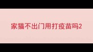 家猫不出门用打疫苗吗