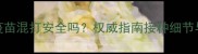 宠物狂犬疫苗混打安全吗权威指南接种细节与风险防范
