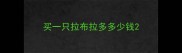 买一只拉布拉多多少钱