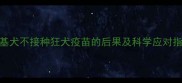 柯基犬不接种狂犬疫苗的后果及科学应对指南