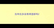 拉布拉多容易得湿疹吗