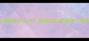 狗狗吐白沫后疯狂喝水怎么办原因与应对措施附专业兽医建议