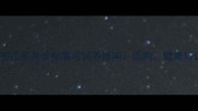 小型拉布拉多身长标准与饲养指南选购健康与训练全